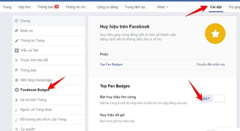 Top Fan Badge Page